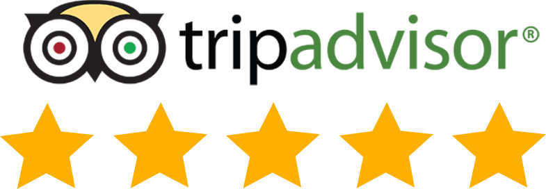 TripAdvisor Reviews - Customer Ratings and Feedback